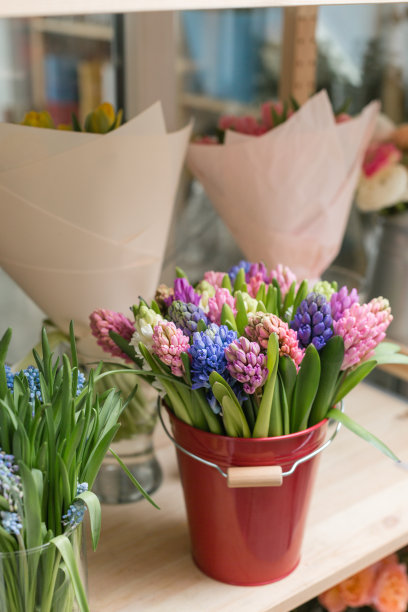 hyacinth