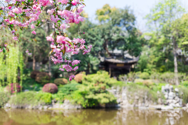 桃花湖泊