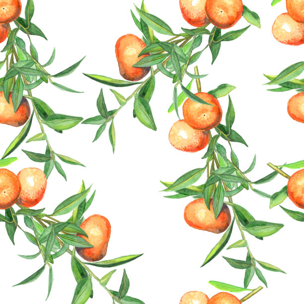 黄果柑海报
