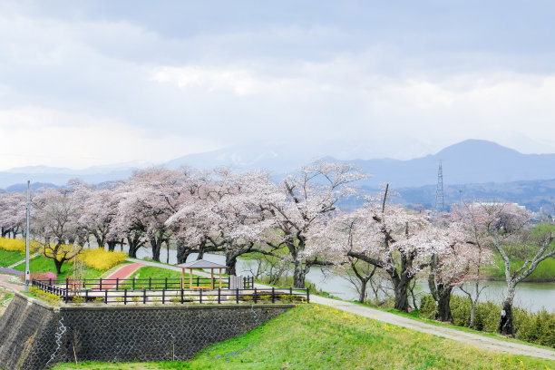 东北片区