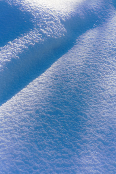 冬季芬兰北部白色的雪原与森林