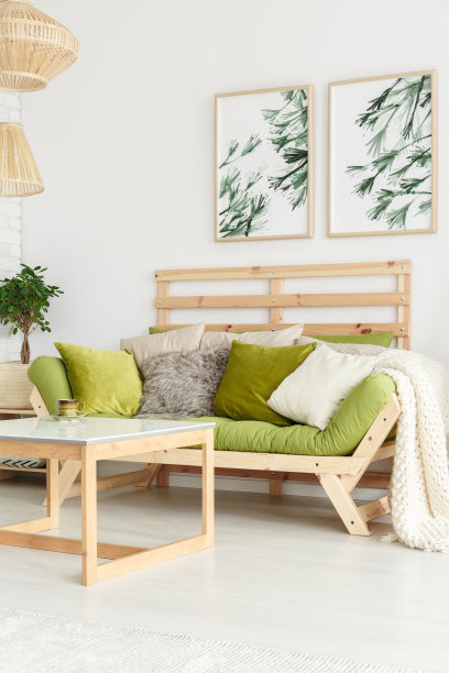 cushion