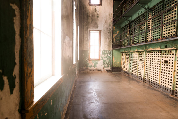 cells