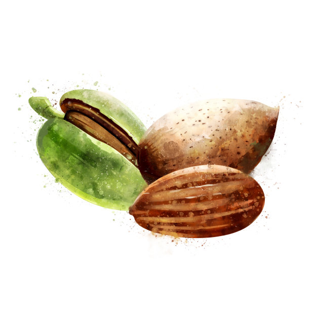 almond