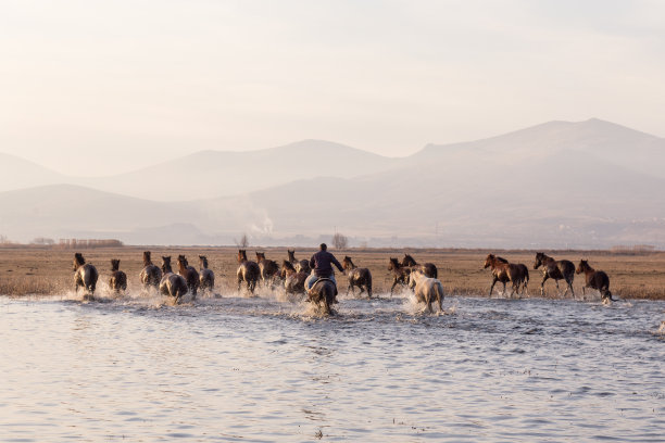 anatolia