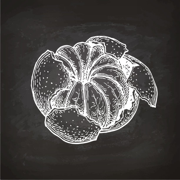 绘画插图,粉笔画,素食
