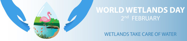 wetland
