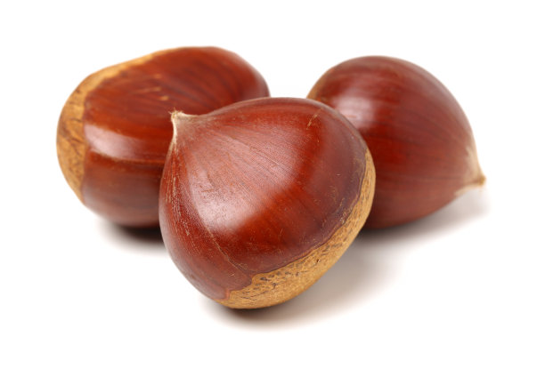 chestnut