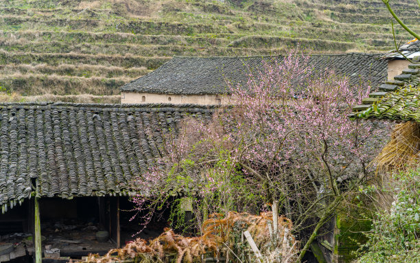 历史文化华夏文明