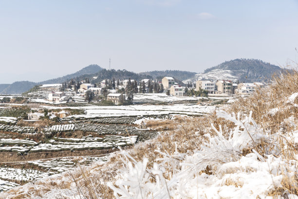 冬日雪原,下雪,积雪,农村