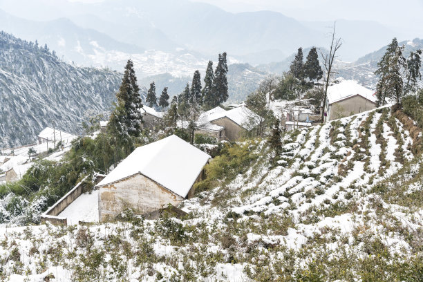 冬日雪原,下雪,积雪,农村