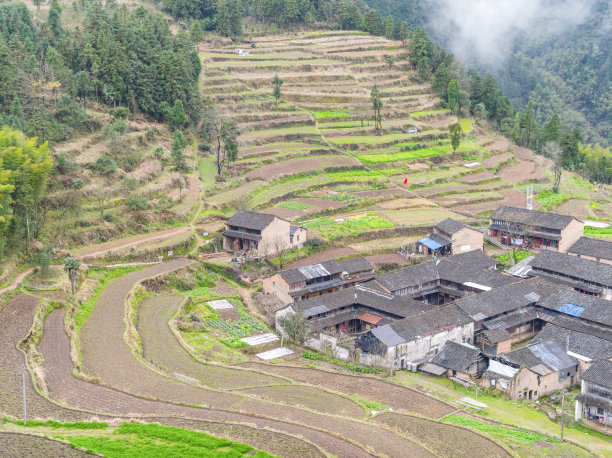 zhejiang