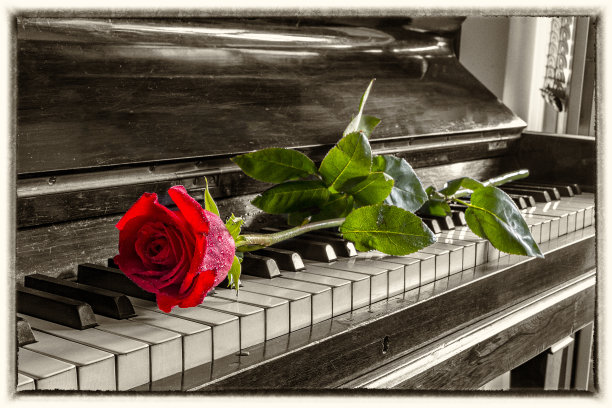 乐器黑白钢琴键