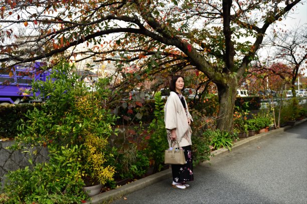 银杏树下的女子