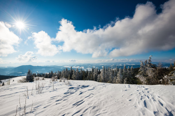 frost