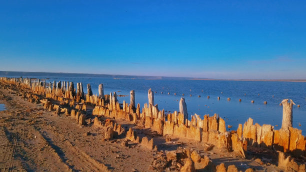 groyne