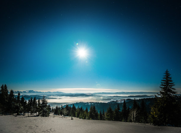 fir