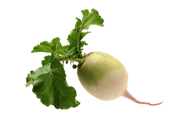 radishes
