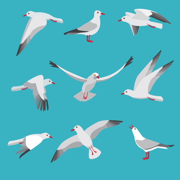larus