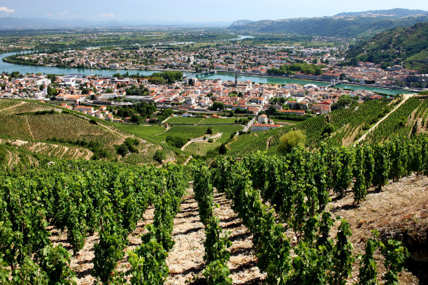 rhone