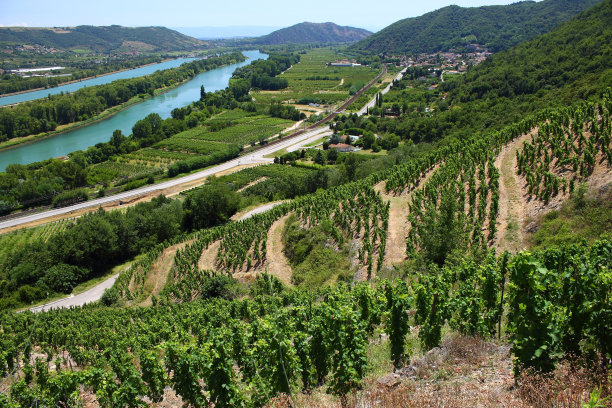 rhone