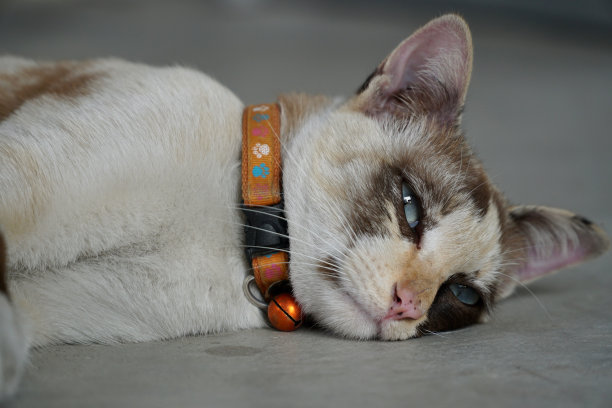 melancholy
