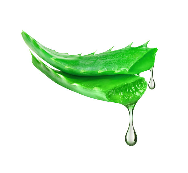 aloe