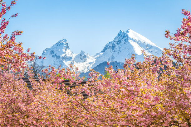 贝希特斯加登地区