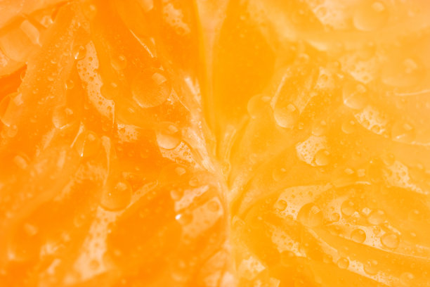 橙子细节