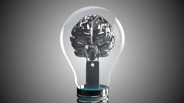brain