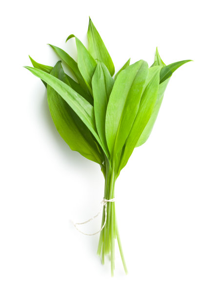 韭菜串