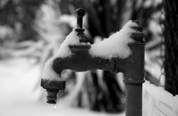 frozen