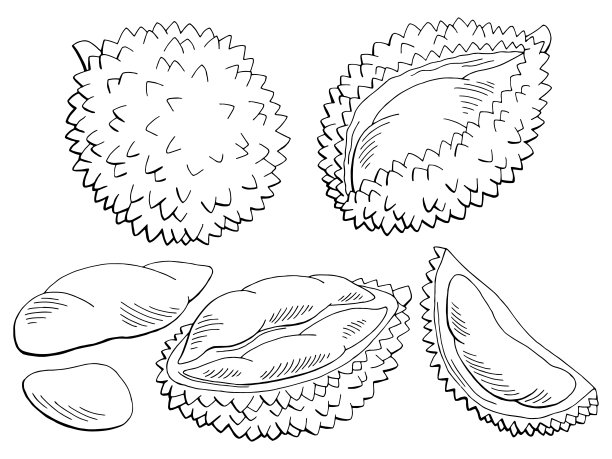 durian
