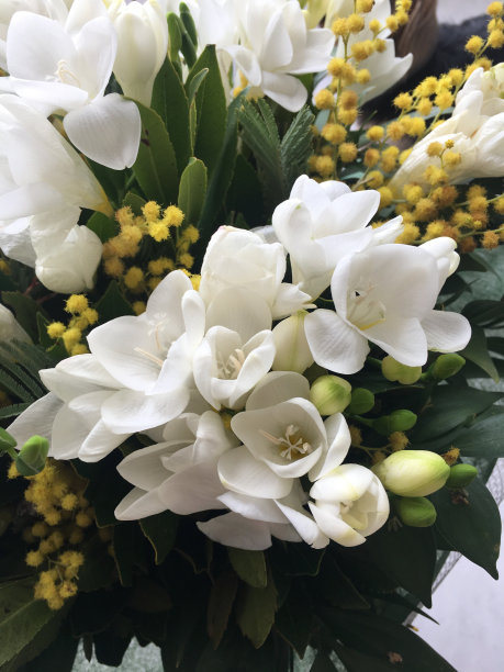 budding