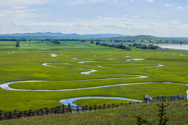 wetland