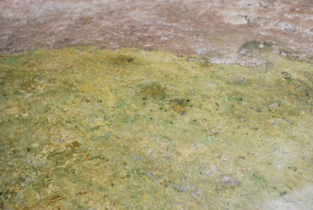 和田玉