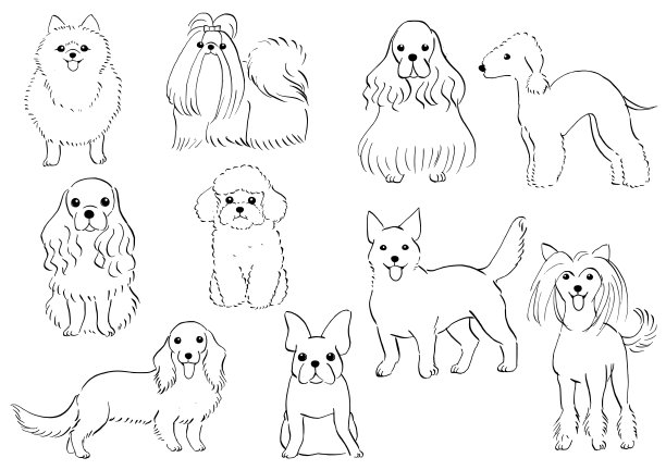 各种狗狗设计图