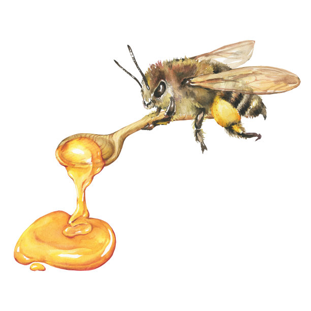 蜜蜂授粉