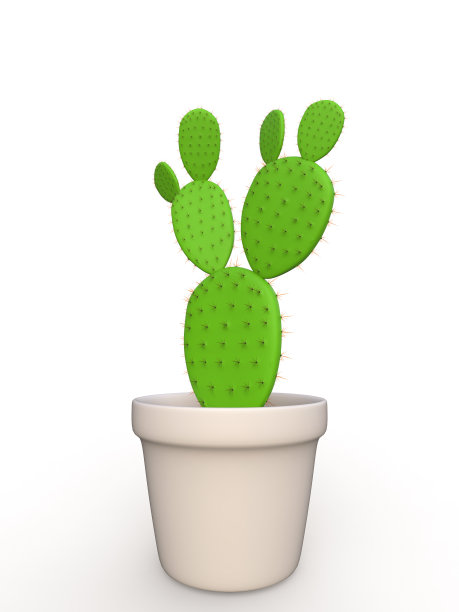 opuntia