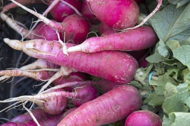 radishes