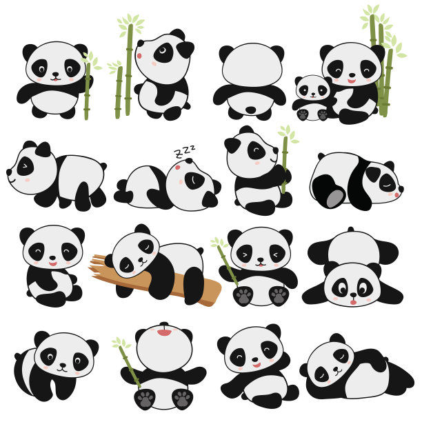 panda