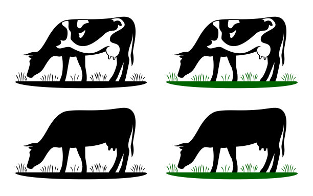 cattle