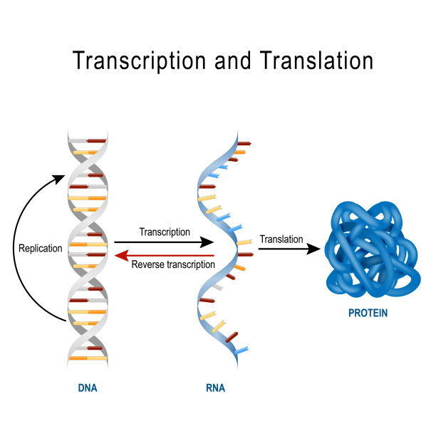 rna