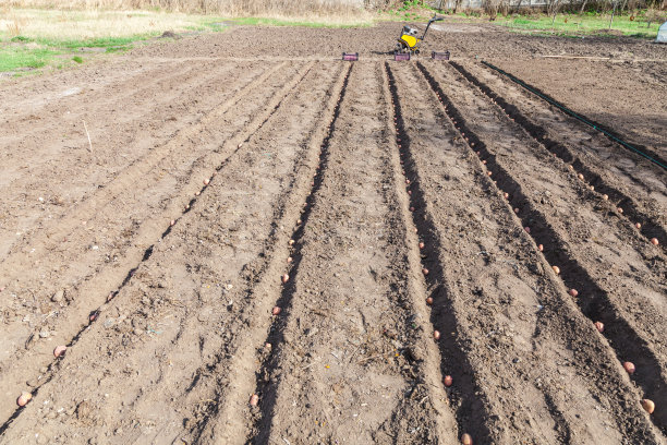 ditch