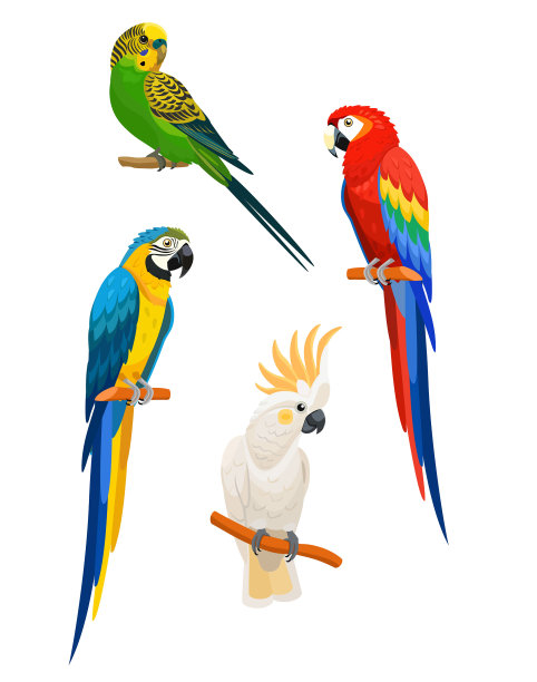 parrots