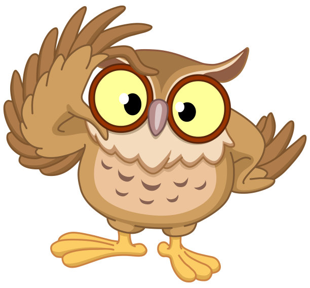 owl