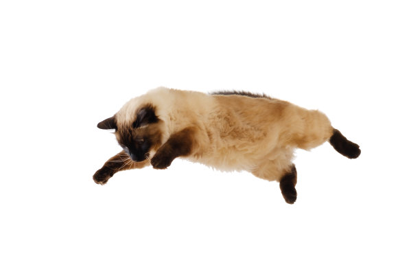 leaping