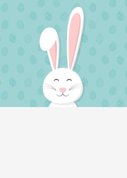 兔子插画设计