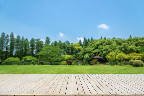 草丛田间地头户外