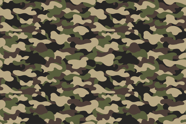 sas